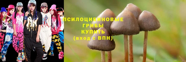 герыч Горняк