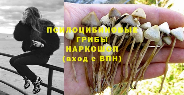 COCAINE Горно-Алтайск