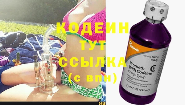 2c-b Горнозаводск