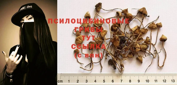 герыч Горняк