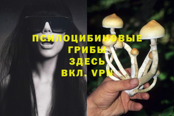 герыч Горняк